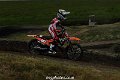 BigWheel85cc-50