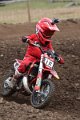 WROSEMX JUL 26_223